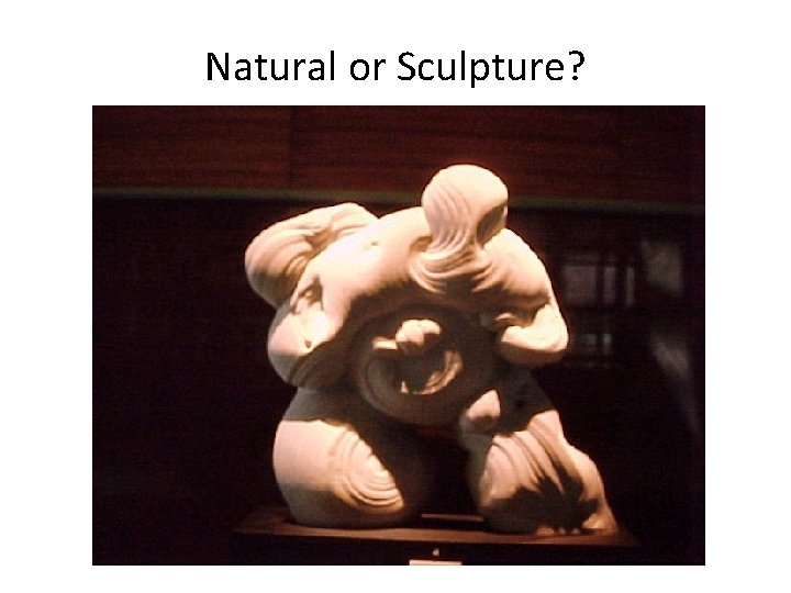 Natural or Sculpture? 