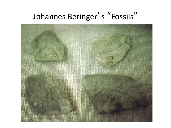 Johannes Beringer’s “Fossils” 