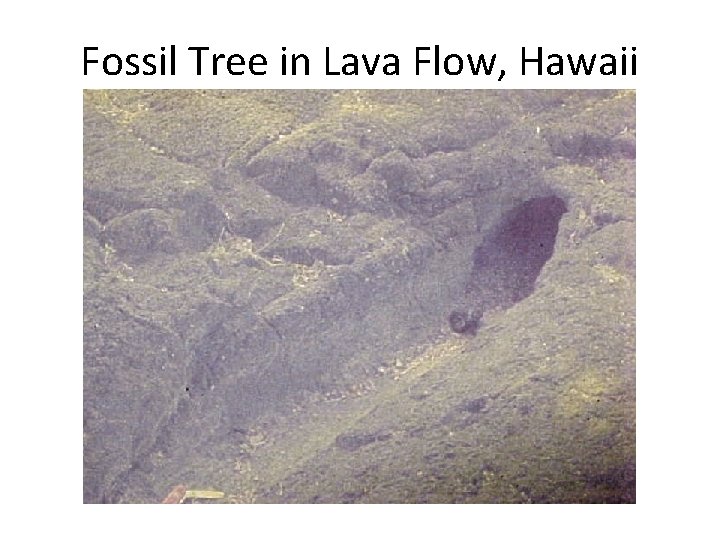 Fossil Tree in Lava Flow, Hawaii 