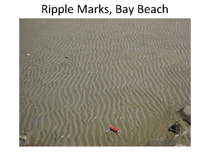 Ripple Marks, Bay Beach 