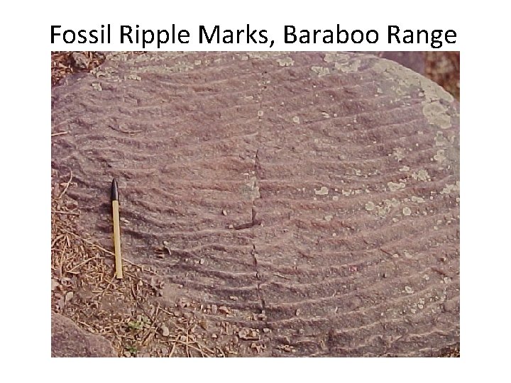 Fossil Ripple Marks, Baraboo Range 