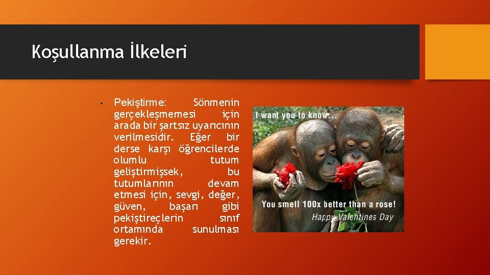 Koşullanma İlkeleri • Pekiştirme: Sönmenin gerçekleşmemesi için arada bir şartsız uyarıcının verilmesidir. Eğer bir