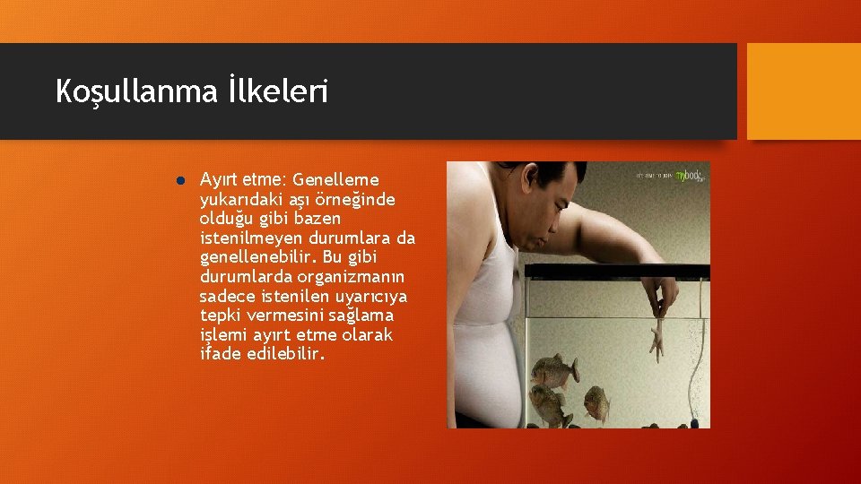 Koşullanma İlkeleri l Ayırt etme: Genelleme yukarıdaki aşı örneğinde olduğu gibi bazen istenilmeyen durumlara