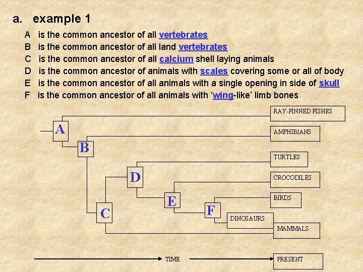 a. example 1 A B C D E F is the common ancestor of
