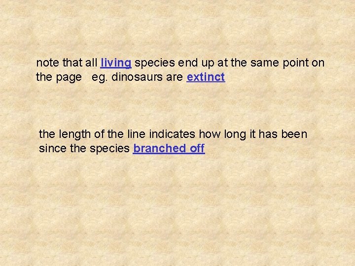 note that all living species end up at the same point on the page