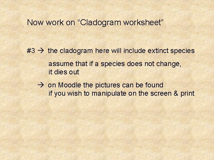 Now work on “Cladogram worksheet” #3 the cladogram here will include extinct species assume
