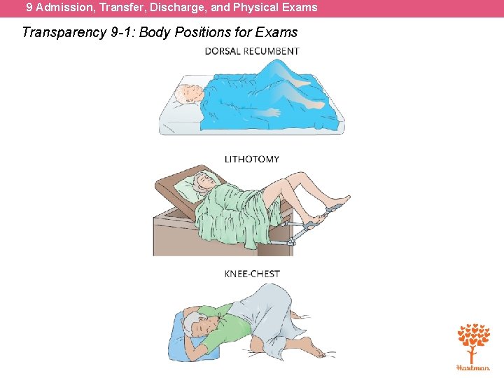 9 Admission, Transfer, Discharge, and Physical Exams Transparency 9 -1: Body Positions for Exams