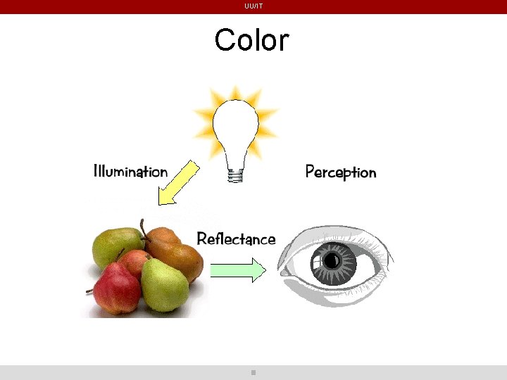 UU/IT Color UU/IT Color