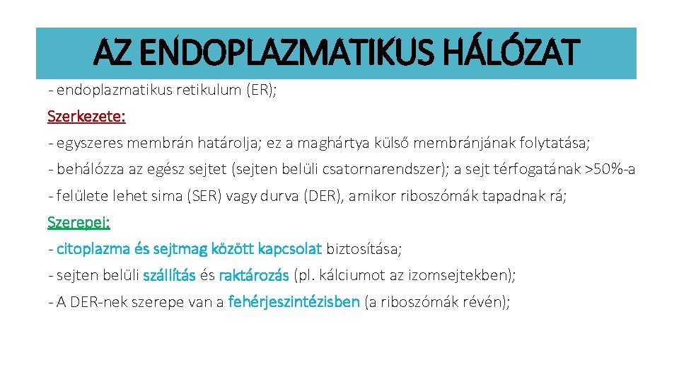 AZ ENDOPLAZMATIKUS HÁLÓZAT - endoplazmatikus retikulum (ER); Szerkezete: - egyszeres membrán határolja; ez a