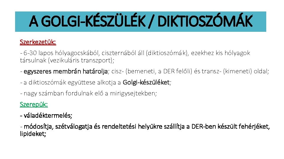 A GOLGI-KÉSZÜLÉK / DIKTIOSZÓMÁK Szerkezetük: - 6 -30 lapos hólyagocskából, ciszternából áll (diktioszómák), ezekhez