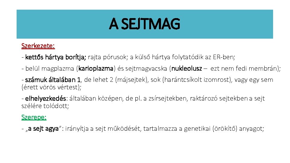 A SEJTMAG Szerkezete: - kettős hártya borítja; rajta pórusok; a külső hártya folytatódik az