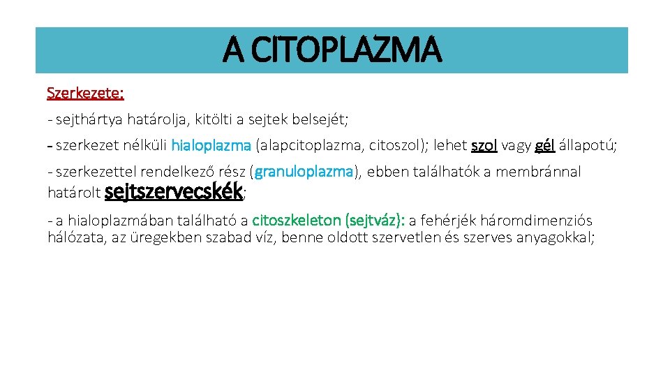 A CITOPLAZMA Szerkezete: - sejthártya határolja, kitölti a sejtek belsejét; - szerkezet nélküli hialoplazma