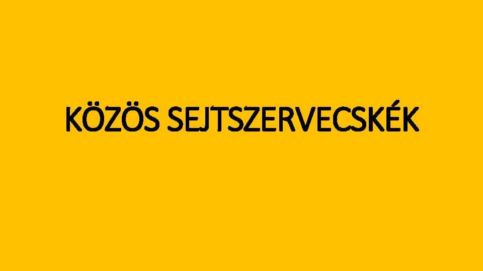 KÖZÖS SEJTSZERVECSKÉK 