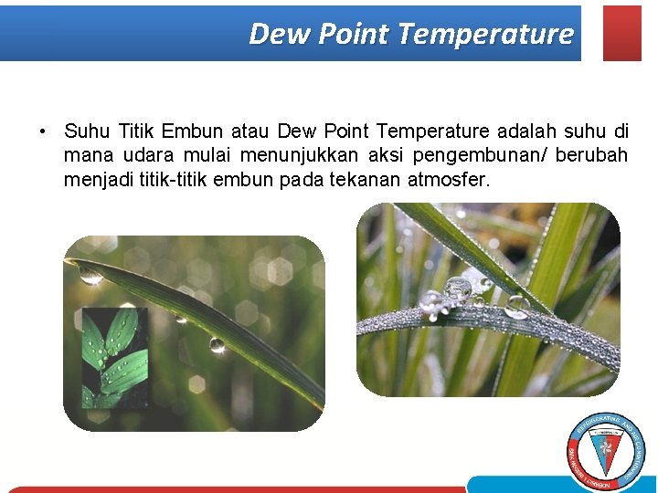 Dew Point Temperature • Suhu Titik Embun atau Dew Point Temperature adalah suhu di