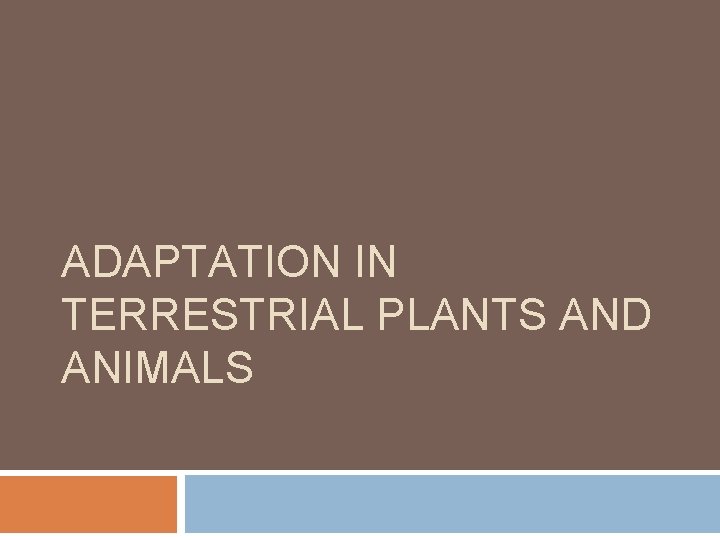 ADAPTATION IN TERRESTRIAL PLANTS AND ANIMALS 