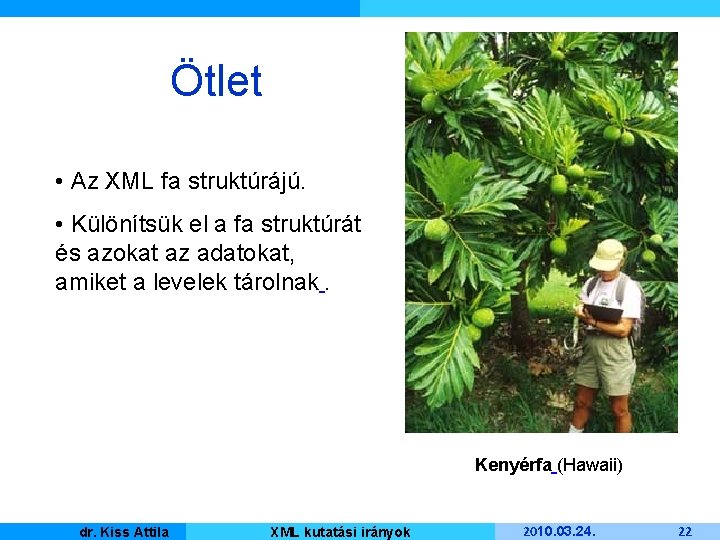 Ötlet • Az XML fa struktúrájú. • Különítsük el a fa struktúrát és azokat