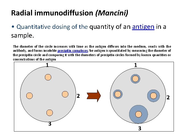 Radial immunodiffusion (Mancini) • Quantitative dosing of the quantity of an antigen in a