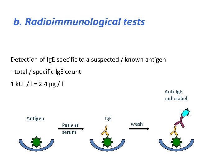 b. Radioimmunological tests Detection of Ig. E specific to a suspected / known antigen
