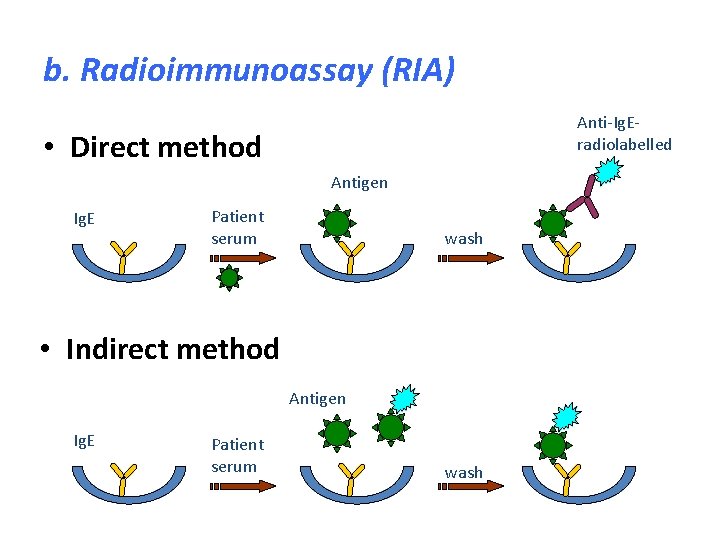 b. Radioimmunoassay (RIA) Anti-Ig. Eradiolabelled • Direct method Antigen Ig. E Patient serum wash