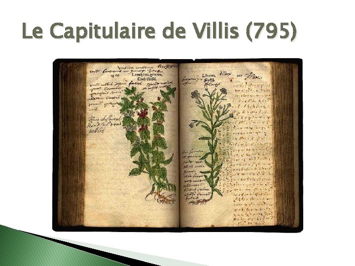Le Capitulaire de Villis (795) 