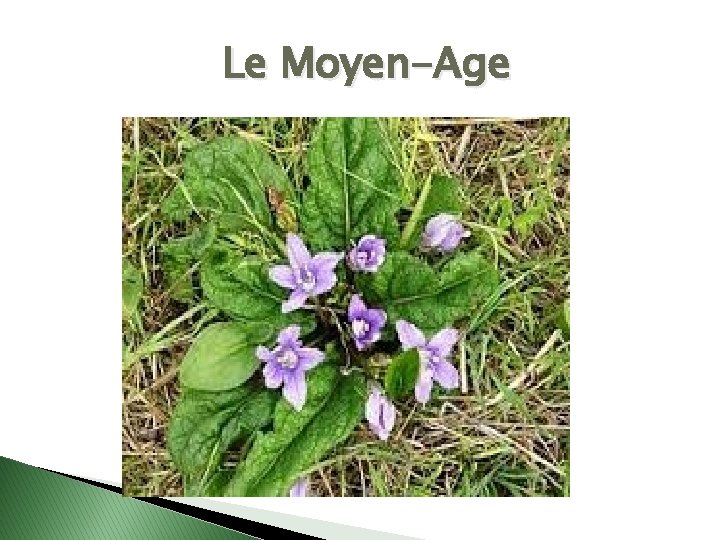 Le Moyen-Age 