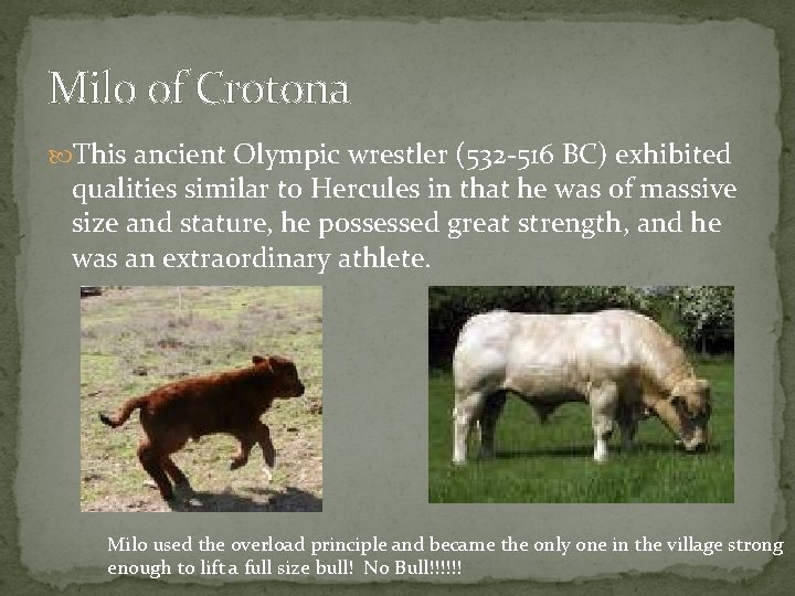 Milo of Crotona This ancient Olympic wrestler (532 -516 BC) exhibited qualities similar to Milo of Crotona This ancient Olympic wrestler (532 -516 BC) exhibited qualities similar to