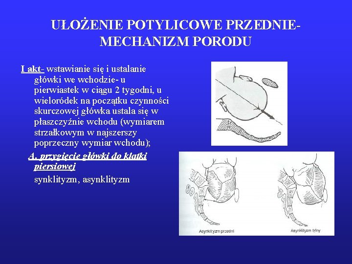 UŁOŻENIE POTYLICOWE PRZEDNIEMECHANIZM PORODU I akt- wstawianie się i ustalanie główki we wchodzie- u