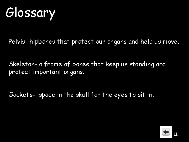 Glossary Pelvis- hipbones that protect our organs and help us move. Skeleton- a frame