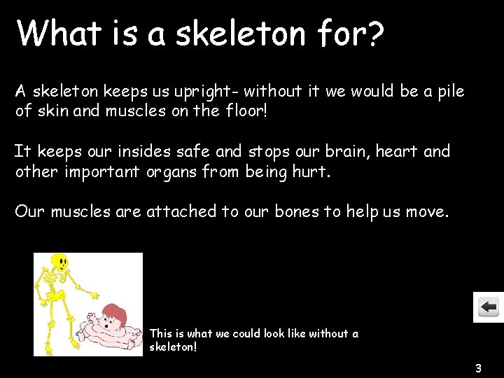 What is a skeleton for? A skeleton keeps us upright- without it we would