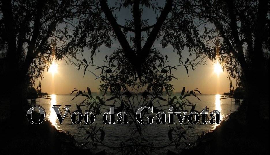 O Voo da Gaivota 