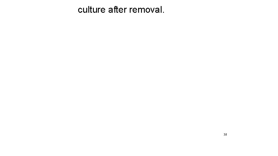 culture after removal. 38 culture after removal. 38