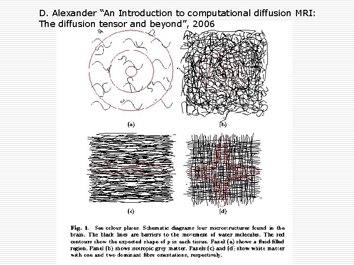D. Alexander “An Introduction to computational diffusion MRI: The diffusion tensor and beyond”, 2006