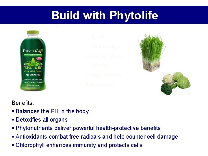 Build with Phytolife Ingredients: § Chlorophyll § Barley Grass § Alfalfa § Peppermint § Build with Phytolife Ingredients: § Chlorophyll § Barley Grass § Alfalfa § Peppermint §