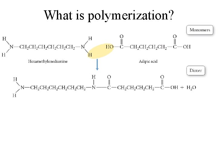 What is polymerization? 