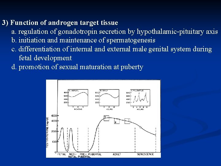 3) Function of androgen target tissue a. regulation of gonadotropin secretion by hypothalamic-pituitary axis