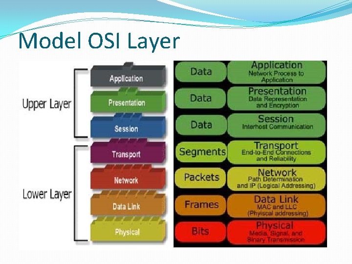 Model OSI Layer 