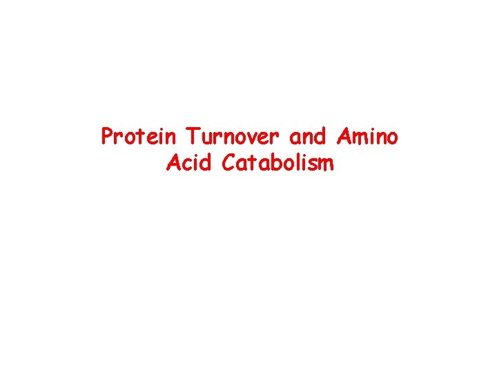 Protein Turnover and Amino Acid Catabolism 