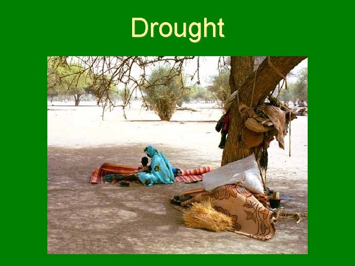 Drought 