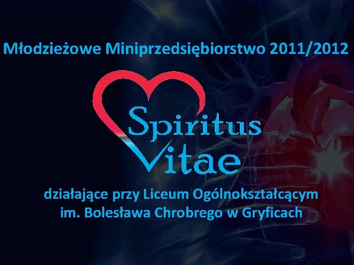 Młodzieżowe Miniprzedsiębiorstwo 2011/2012 działające przy Liceum Ogólnokształcącym im. Bolesława Chrobrego w Gryficach 