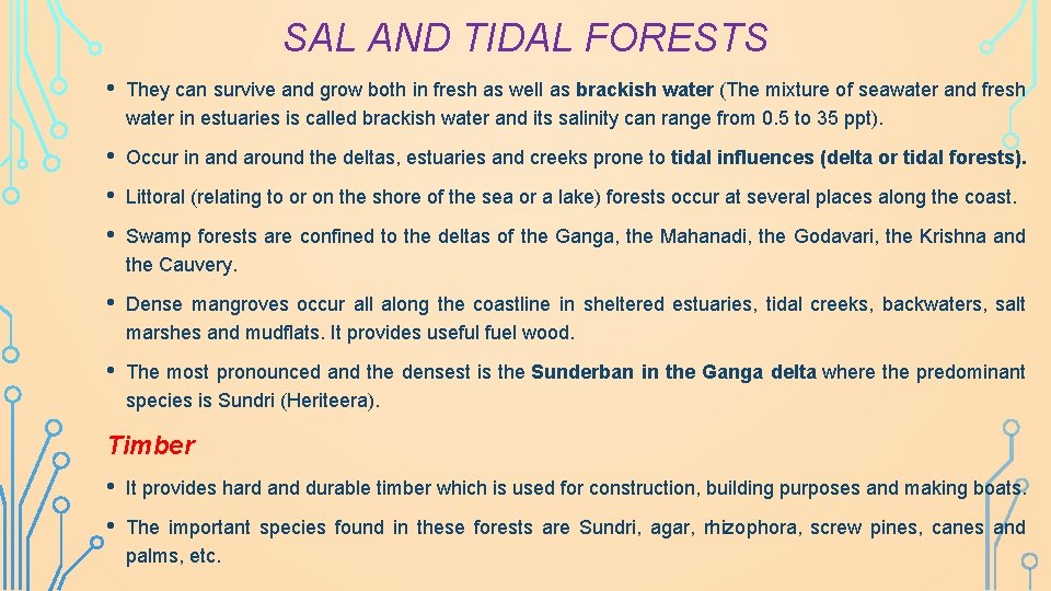 SAL AND TIDAL FORESTS • They can survive and grow both in fresh as