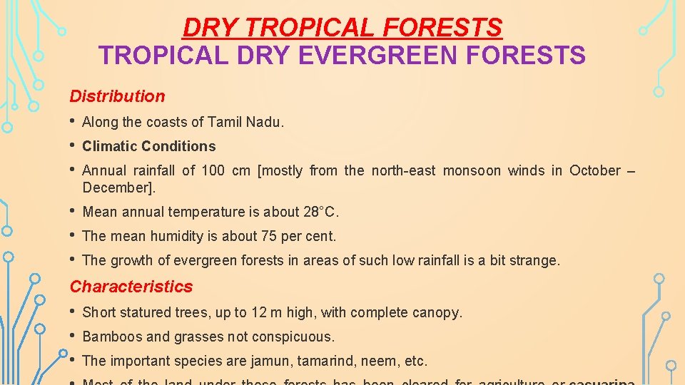 DRY TROPICAL FORESTS TROPICAL DRY EVERGREEN FORESTS Distribution • • • Along the coasts