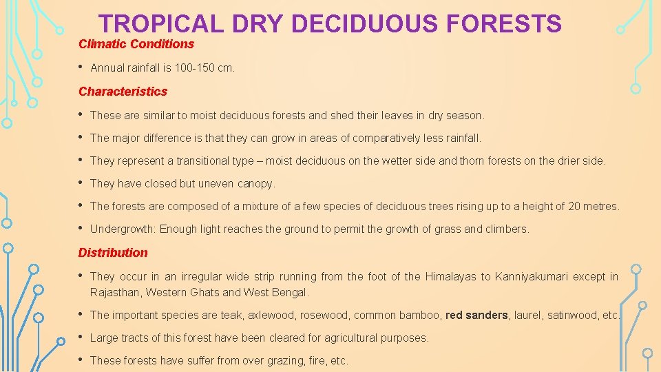 TROPICAL DRY DECIDUOUS FORESTS Climatic Conditions • Annual rainfall is 100 -150 cm. Characteristics