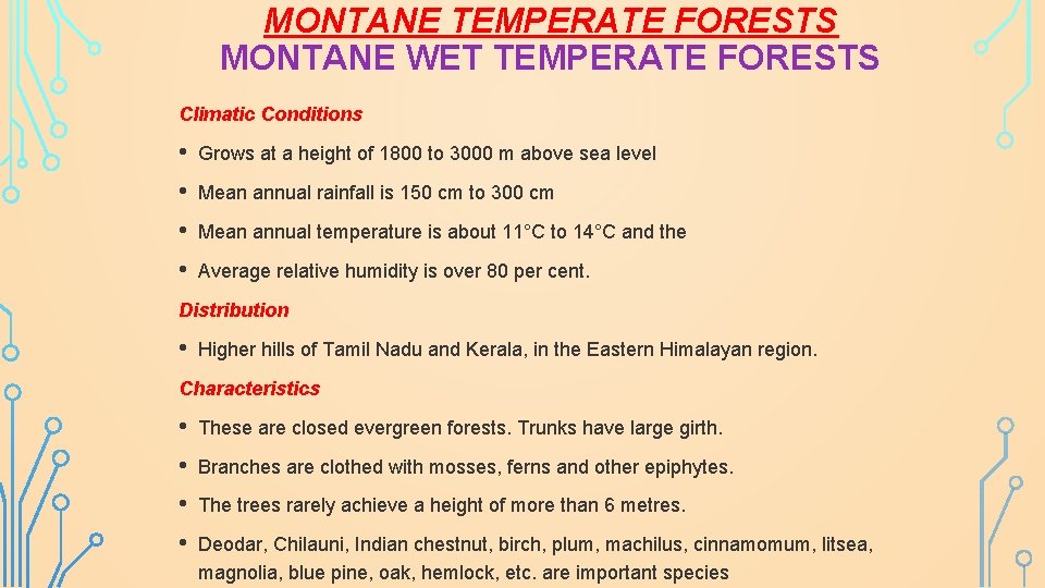 MONTANE TEMPERATE FORESTS MONTANE WET TEMPERATE FORESTS Climatic Conditions • Grows at a height