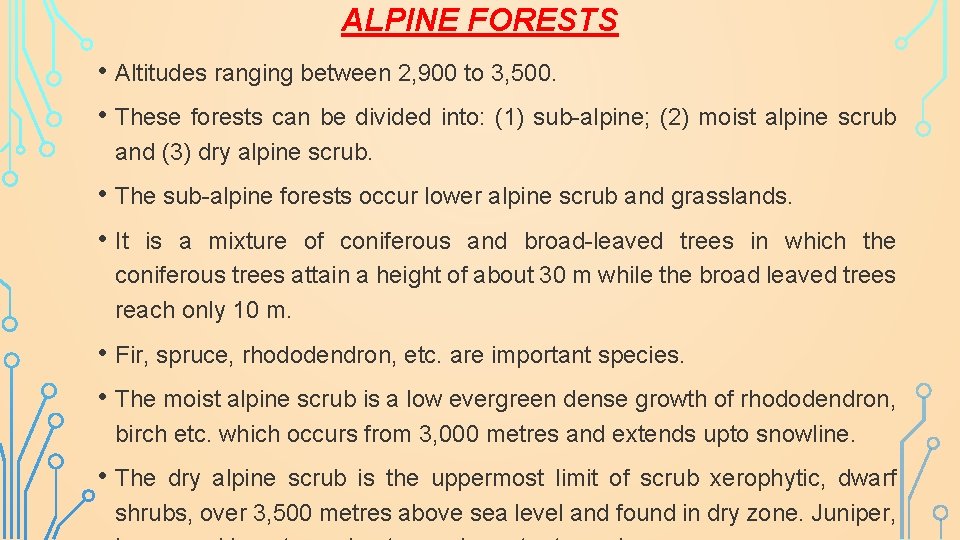 ALPINE FORESTS • Altitudes ranging between 2, 900 to 3, 500. • These forests