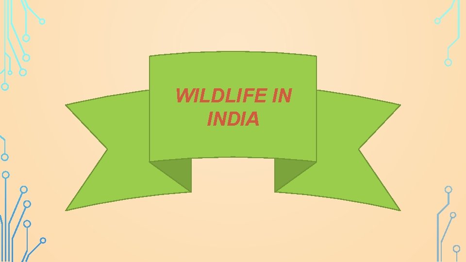 WILDLIFE IN INDIA 