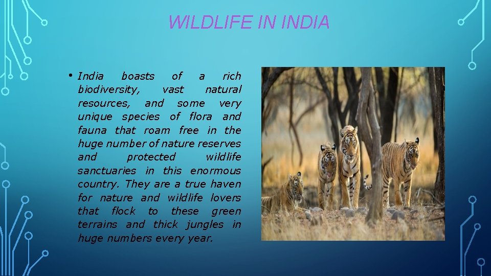 WILDLIFE IN INDIA • India boasts of a rich biodiversity, vast natural resources, and