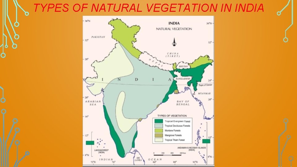 TYPES OF NATURAL VEGETATION IN INDIA 