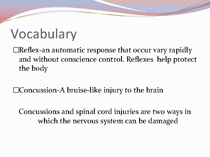 Nervous System Mrs Whartons Science Class Vocabulary Central