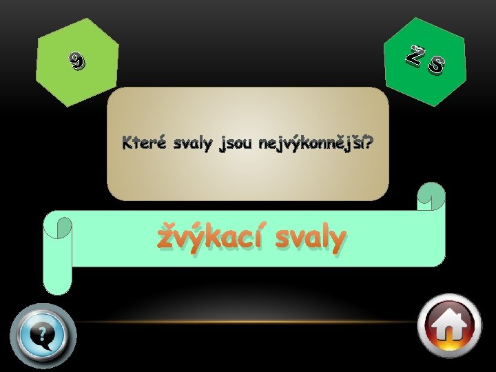 ŽS 9 žvýkací svaly 