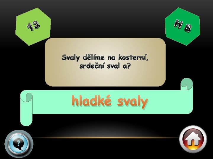 HS 13 hladké svaly 